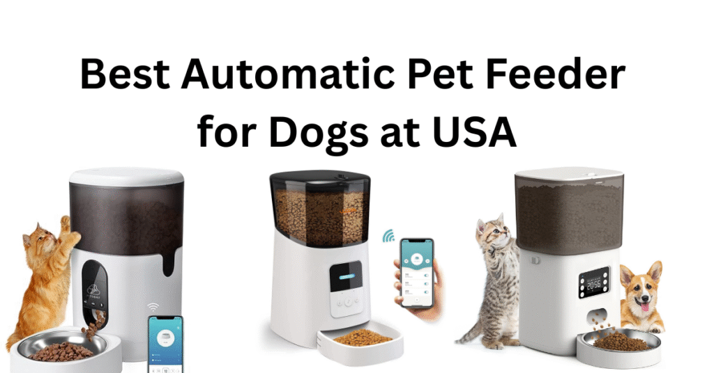best automatic pet feeder for dogs