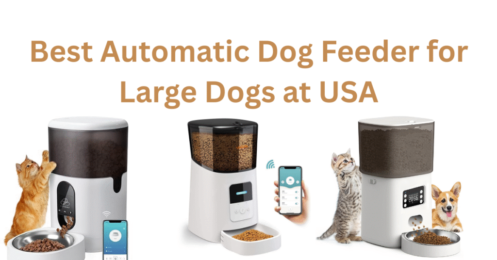 best automatic dog feeder for large dogs