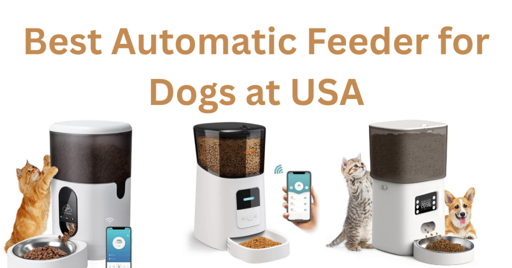 best automatic feeder for dogs