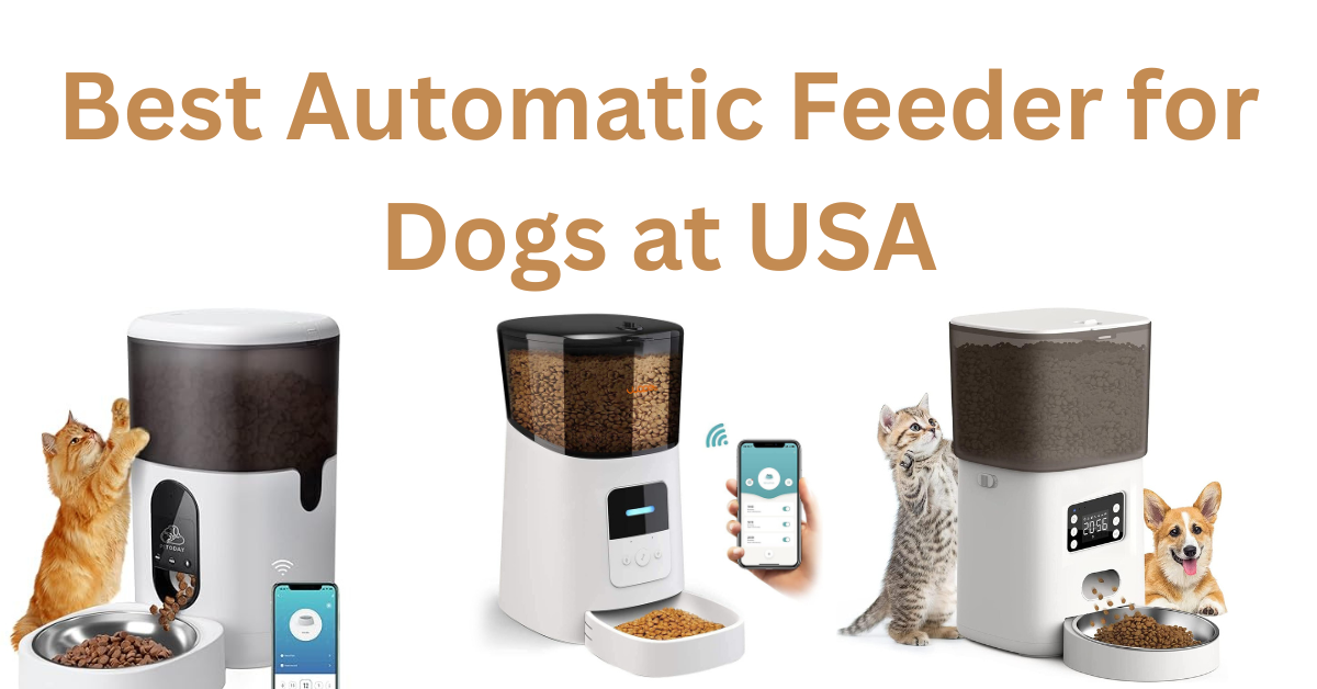 best automatic feeder for dogs