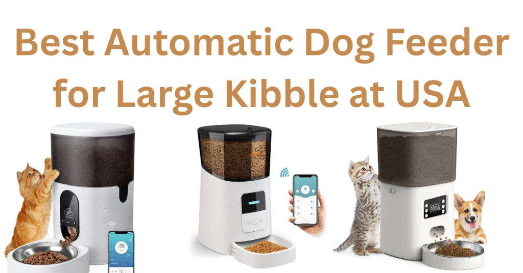 best automatic dog feeder for large kibble