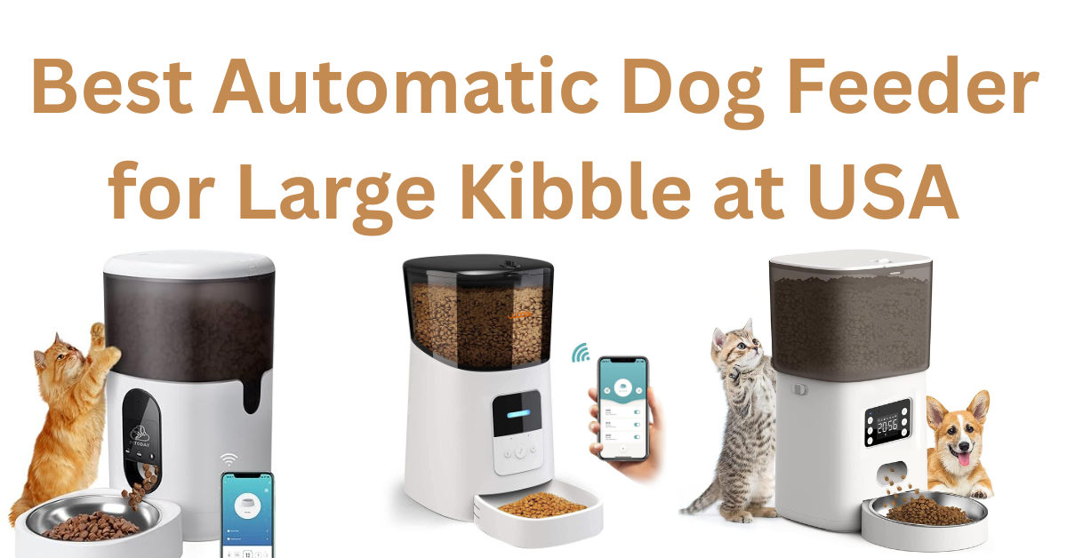 best automatic dog feeder for large kibble